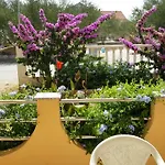 Marina Daire